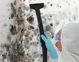 Best Commercial Mold Inspection  in Old Jefferson, LA